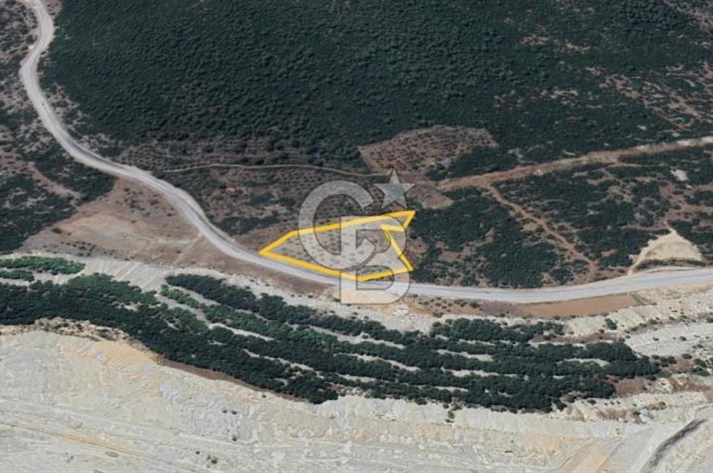 YOLA CEPHE MUĞLA MENTEŞE' DE SATILIK TARLA