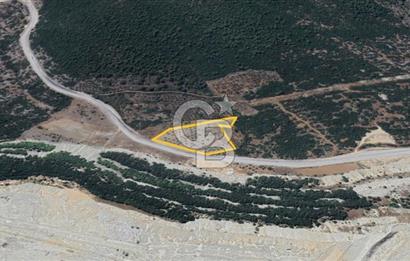 YOLA CEPHE MUĞLA MENTEŞE' DE SATILIK TARLA