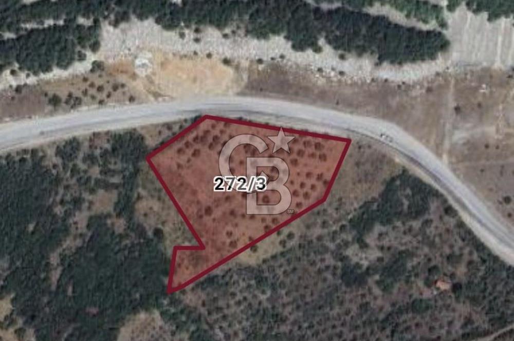 YOLA CEPHE MUĞLA MENTEŞE' DE SATILIK TARLA