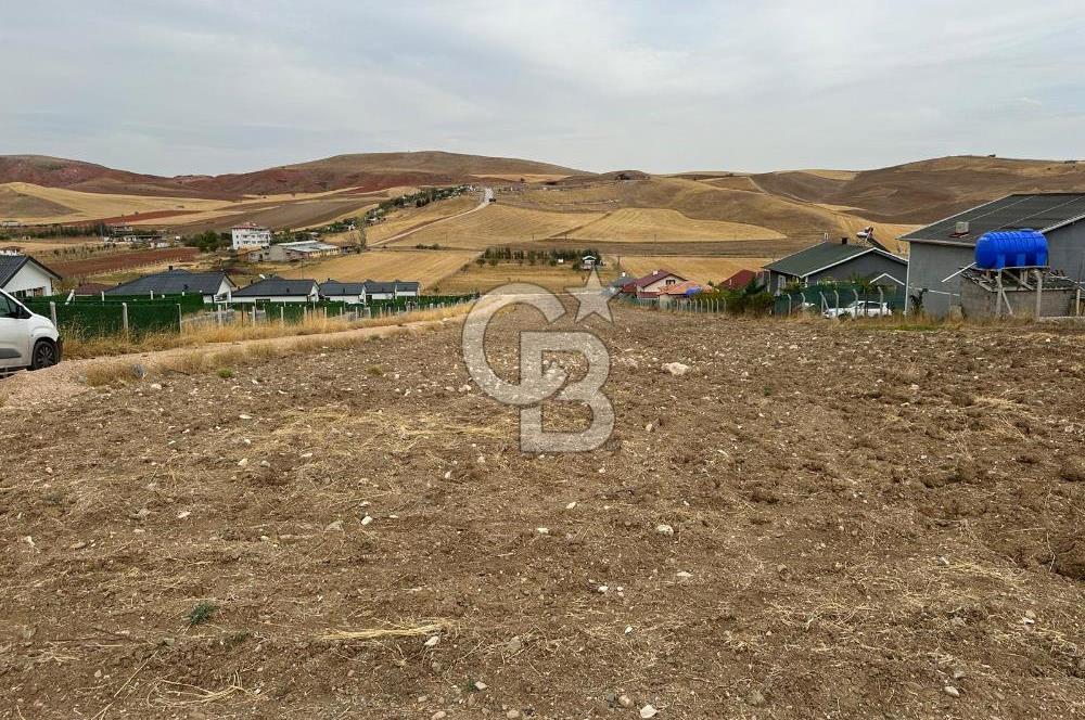 ÇUBUK İKİPINARDA 6.050 M² TEL ÇEVRİLİ ELEKTRİK YOLU OLAN TARLA