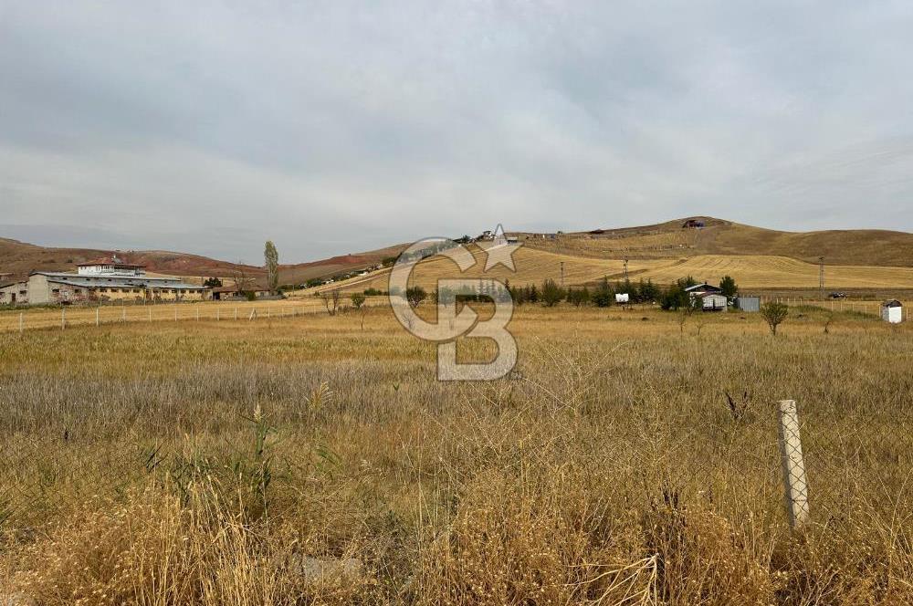 ÇUBUK İKİPINARDA 6.050 M² TEL ÇEVRİLİ ELEKTRİK YOLU OLAN TARLA