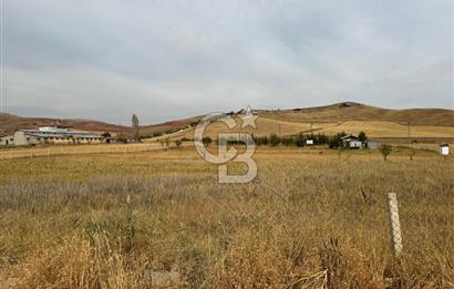 ÇUBUK İKİPINARDA 6.050 M² TEL ÇEVRİLİ ELEKTRİK YOLU OLAN TARLA