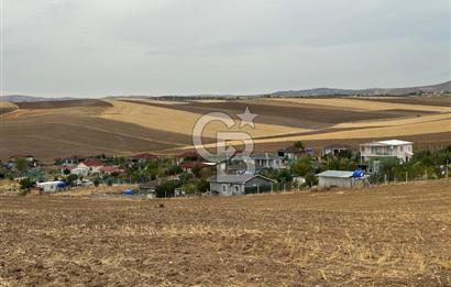 ÇUBUK İKİPINARDA 6.050 M² TEL ÇEVRİLİ ELEKTRİK YOLU OLAN TARLA