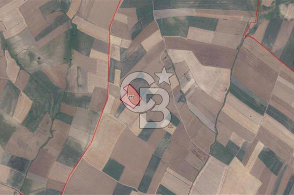 CB CLASS GÖNEN OSB YAKINI SATILIK TARLA