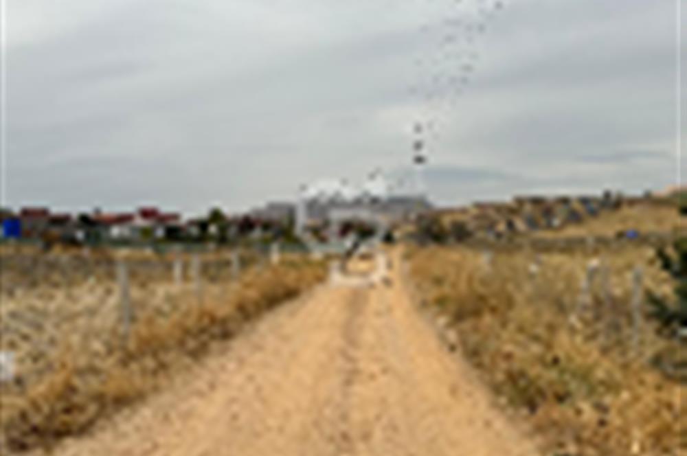 ÇUBUK İKİPINARDA 6.050 M² TEL ÇEVRİLİ ELEKTRİK YOLU OLAN TARLA