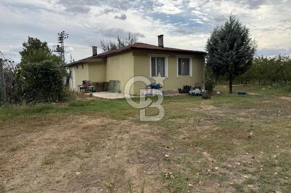 Edirne Merkez Karaağaç & Bosnada Satılık Yetişkin Meyve Bahçesi