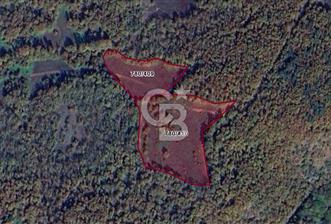 BURSA İZNİK CANDARLI 10 DÖNÜM SATILIK TARLA