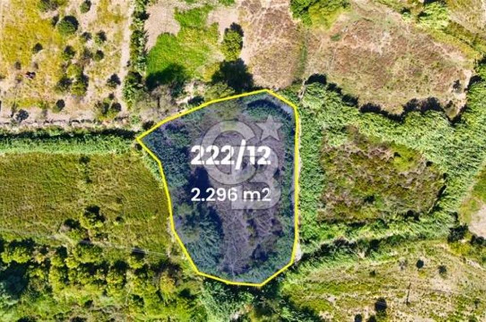 Datça Reşadiye'de 2.296m2 Yatırımlık Satılık Tarla