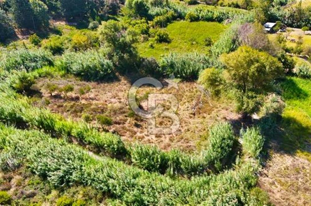 Datça Reşadiye'de 2.296m2 Yatırımlık Satılık Tarla