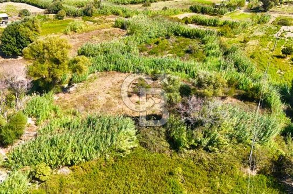 Datça Reşadiye'de 2.296m2 Yatırımlık Satılık Tarla