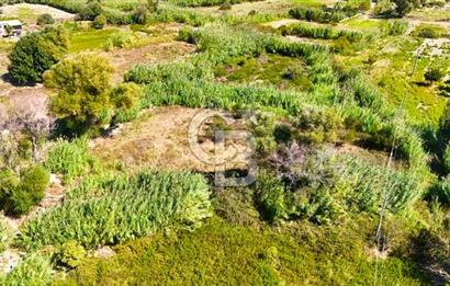 Datça Reşadiye'de 2.296m2 Yatırımlık Satılık Tarla