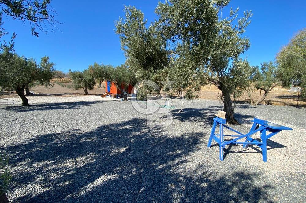 Kalabak'ta Elektrik+Su+Bungalov+57 Ağaçlı Müstakil 2.341 m2