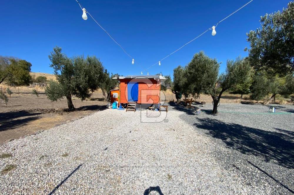 Kalabak'ta Elektrik+Su+Bungalov+57 Ağaçlı Müstakil 2.341 m2