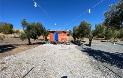 Kalabak'ta Elektrik+Su+Bungalov+57 Ağaçlı Müstakil 2.341 m2