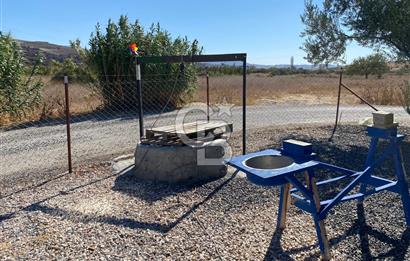 Kalabak'ta Elektrik+Su+Bungalov+57 Ağaçlı Müstakil 2.341 m2