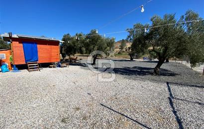 Kalabak'ta Elektrik+Su+Bungalov+57 Ağaçlı Müstakil 2.341 m2