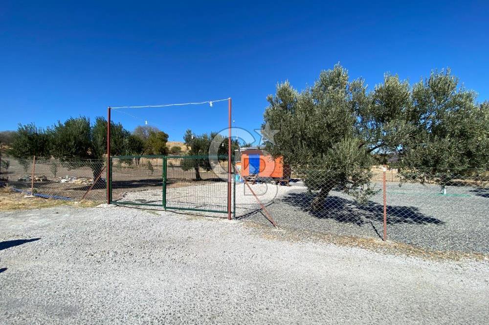 Kalabak'ta Elektrik+Su+Bungalov+57 Ağaçlı Müstakil 2.341 m2