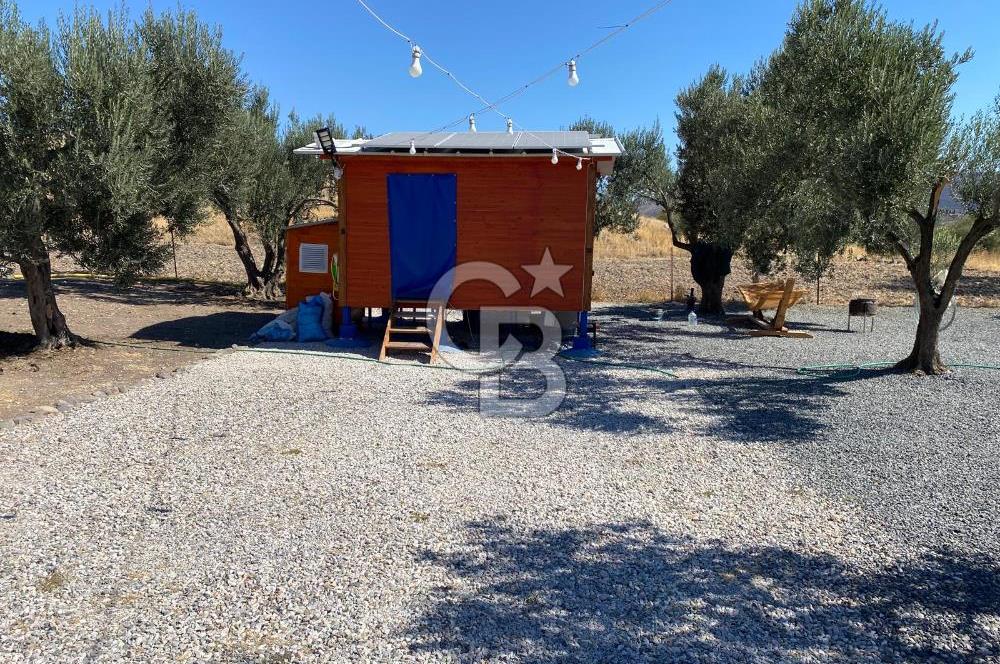 Kalabak'ta Elektrik+Su+Bungalov+57 Ağaçlı Müstakil 2.341 m2