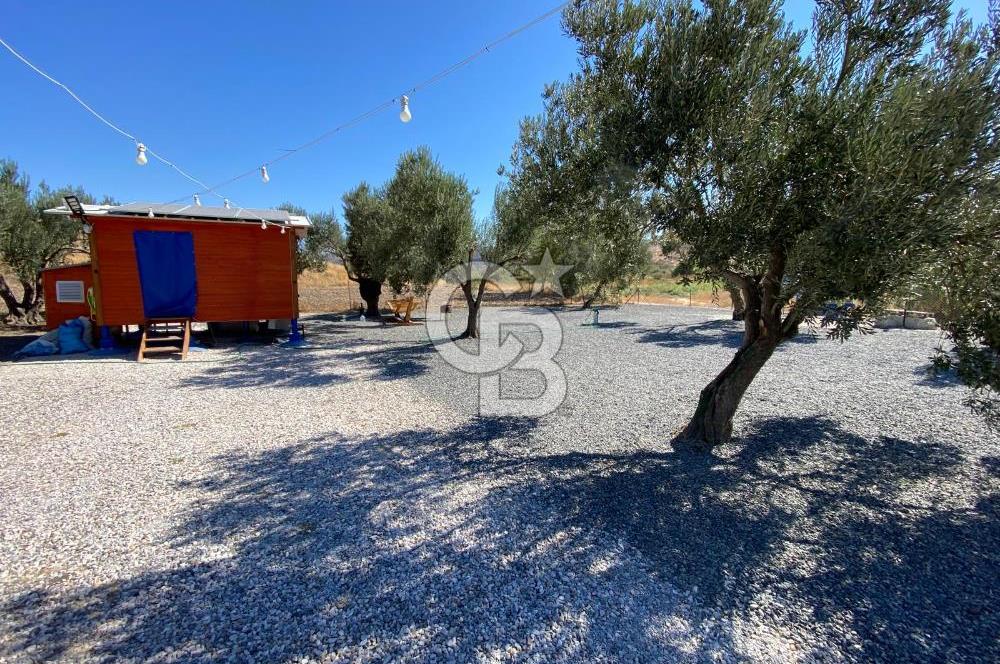 Kalabak'ta Elektrik+Su+Bungalov+57 Ağaçlı Müstakil 2.341 m2