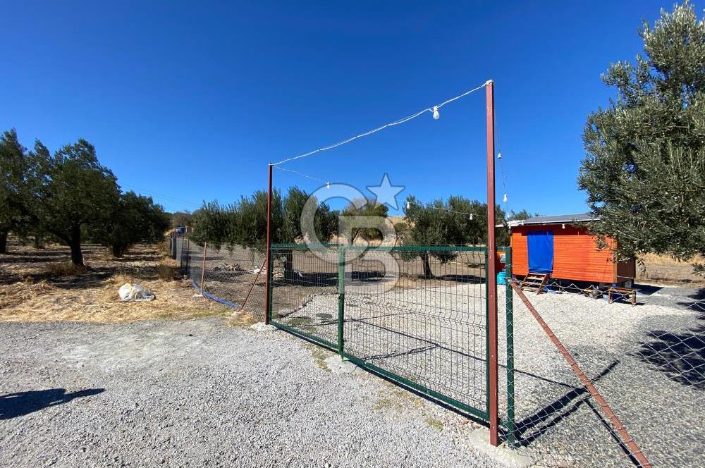 Kalabak'ta Elektrik+Su+Bungalov+57 Ağaçlı Müstakil 2.341 m2