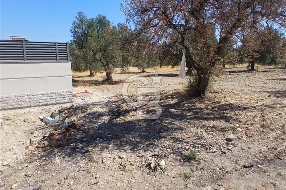 AŞAĞIŞAKRAN İNCİRLİK MEVKİNDE SATILIK 434 M2 ARSA