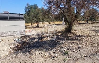 AŞAĞIŞAKRAN İNCİRLİK MEVKİNDE SATILIK 434 M2 ARSA