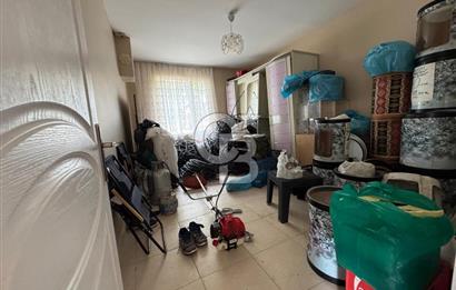 Edirne Merkez Karaağaç & Bosnada Satılık Yetişkin Meyve Bahçesi