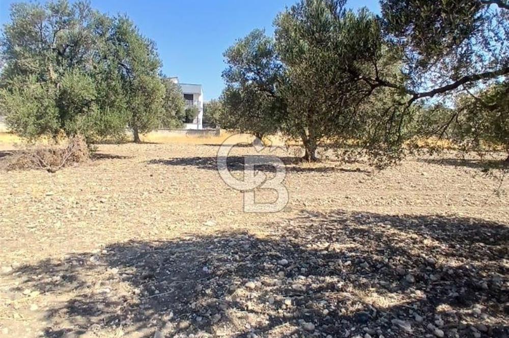 AŞAĞIŞAKRAN İNCİRLİK MEVKİNDE SATILIK 434 M2 ARSA