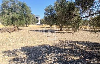 AŞAĞIŞAKRAN İNCİRLİK MEVKİNDE SATILIK 434 M2 ARSA