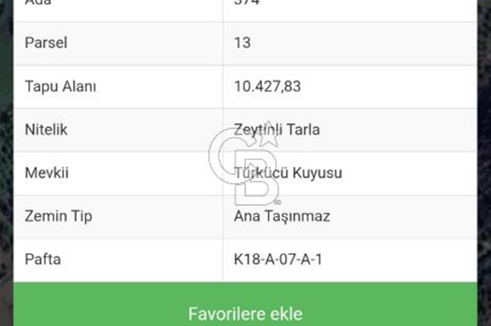 BERGAMA ZEYTİNDAĞ SATILIK 2.600 M2 HİSSE