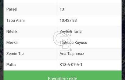 BERGAMA ZEYTİNDAĞ SATILIK 2.600 M2 HİSSE