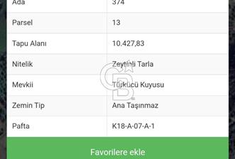 BERGAMA ZEYTİNDAĞ SATILIK 2.600 M2 HİSSE