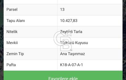 BERGAMA ZEYTİNDAĞ SATILIK 2.600 M2 HİSSE