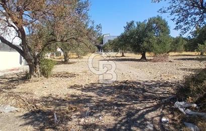 AŞAĞIŞAKRAN İNCİRLİK MEVKİNDE SATILIK 434 M2 ARSA