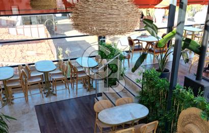 Çeşme Alaçatı Club Baba'da Devren Kiralık 15 odalı Butik Otel