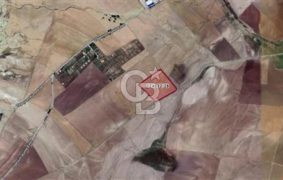 Ankara Gölbaşı Tepeyurt ta 18.792 m²Köşe Parsel Yatırımlık Tarla