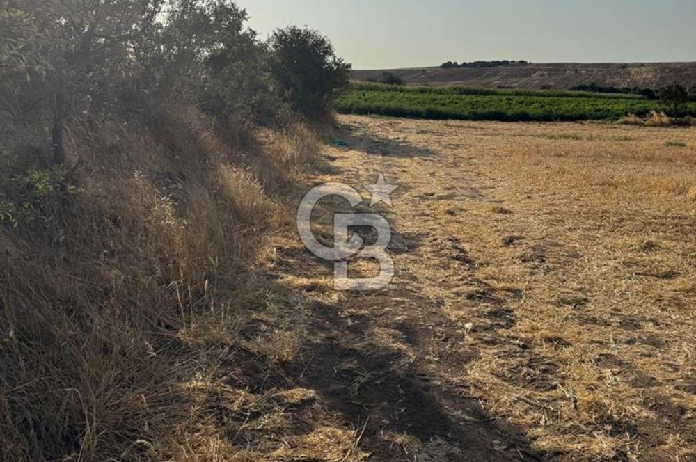 Çanakkale Merkez Gökçalı Satılık Tarla