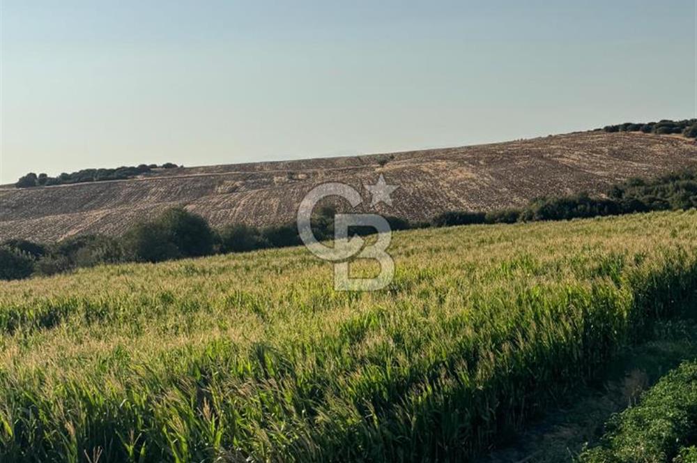 Çanakkale Merkez Gökçalı Satılık Tarla