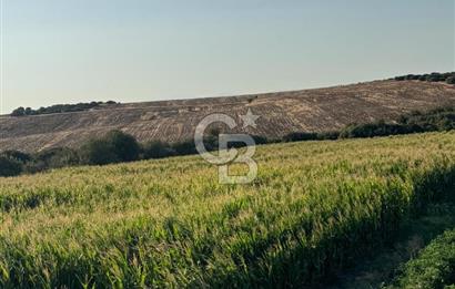 Çanakkale Merkez Gökçalı Satılık Tarla