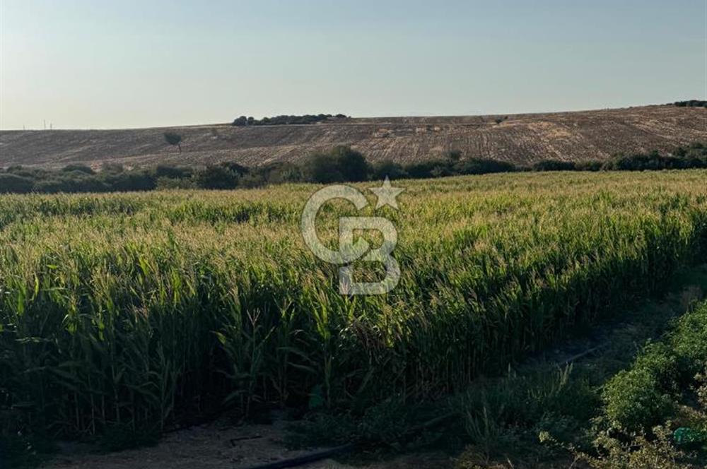 Çanakkale Merkez Gökçalı Satılık Tarla