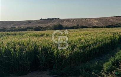 Çanakkale Merkez Gökçalı Satılık Tarla