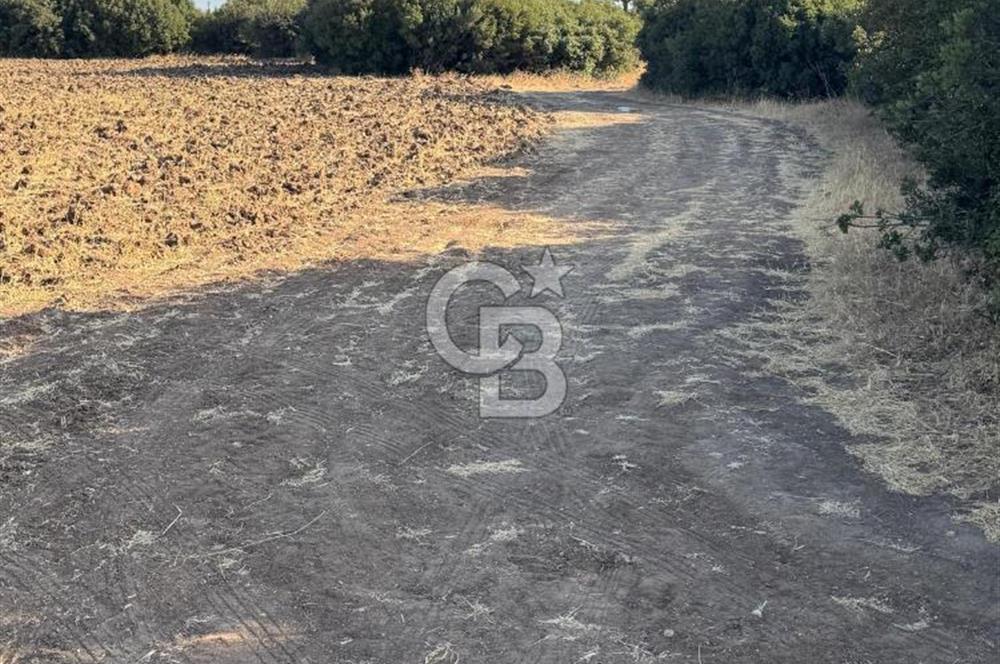 Çanakkale Merkez Gökçalı Satılık Tarla