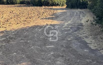 Çanakkale Merkez Gökçalı Satılık Tarla