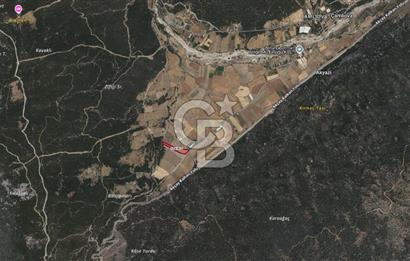KAŞ ÇAMLIOVADA SATILIK TEK TAPU TARLA