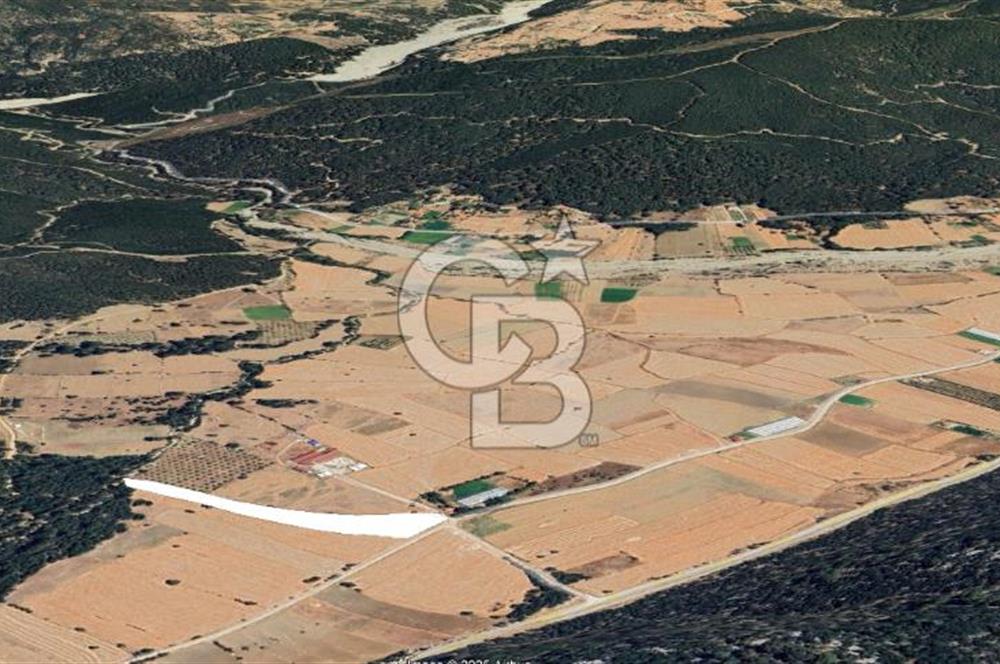 KAŞ ÇAMLIOVADA SATILIK TEK TAPU TARLA