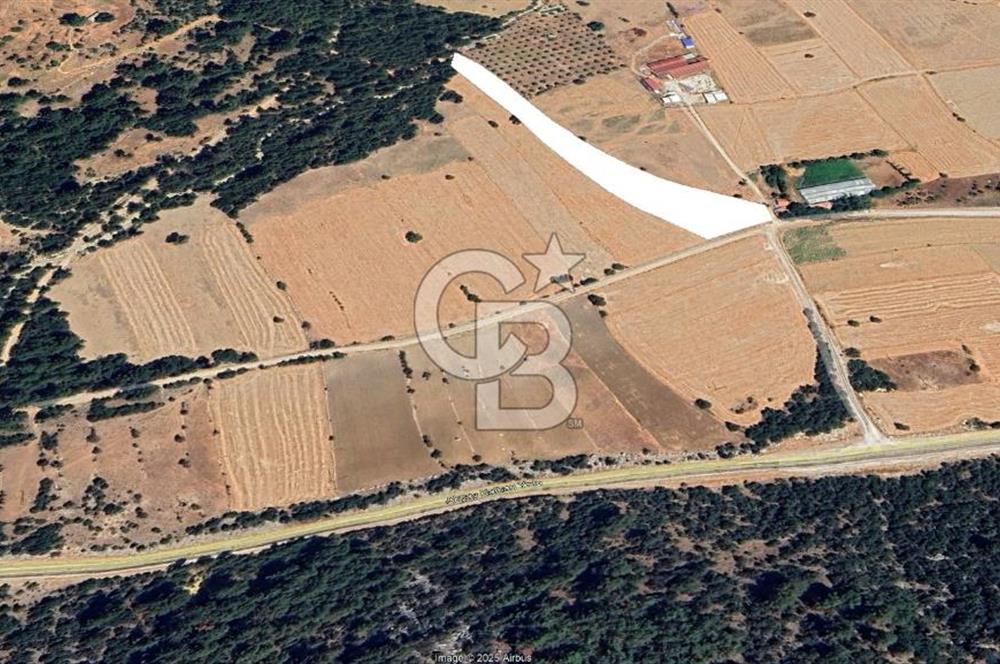 KAŞ ÇAMLIOVADA SATILIK TEK TAPU TARLA
