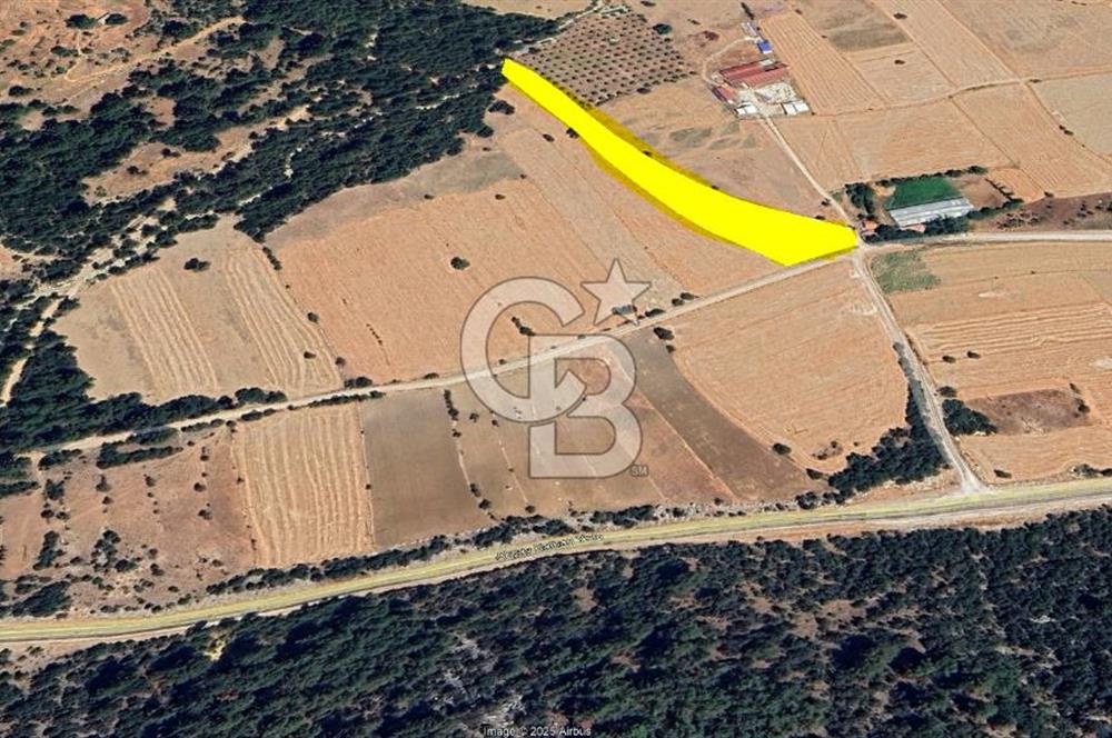 KAŞ ÇAMLIOVADA SATILIK TEK TAPU TARLA
