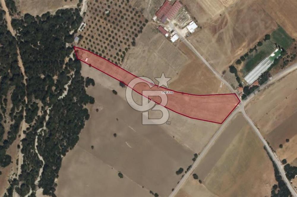 KAŞ ÇAMLIOVADA SATILIK TEK TAPU TARLA