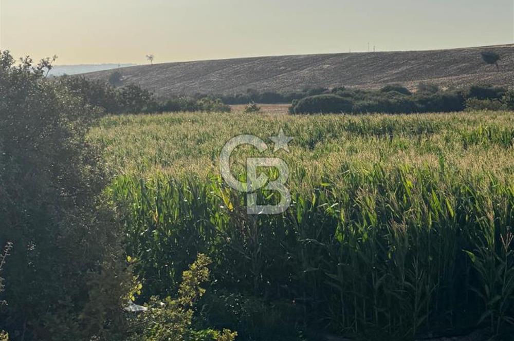 Çanakkale Merkez Gökçalı Satılık Tarla