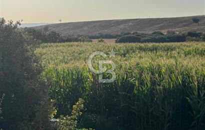 Çanakkale Merkez Gökçalı Satılık Tarla